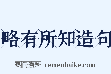 略有所知造句是什么意思的图片